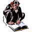 What we've done - unit reports 
