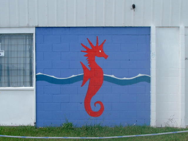 Seahorse Mural