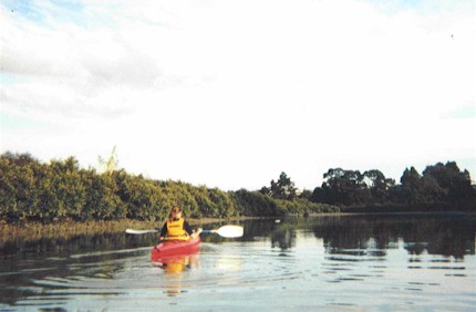We were very lucky with Auckland's weather - for once!