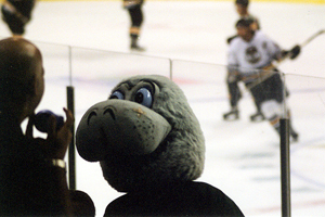 Manny Manatee