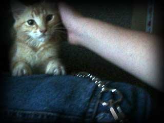 Simba