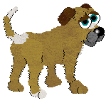 Abby is a mutt and is very sweet.