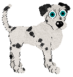 This is Sky's mate. She is very hyper. She was my second dogz.