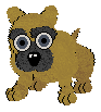 Tiny is a pug. He is a very hyper dog.
