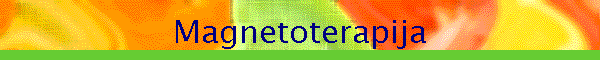 Magnetoterapija