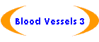 Blood Vessels 3