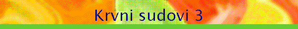 Krvni sudovi 3