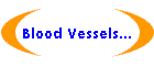 Blood Vessels...