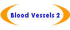 Blood Vessels 2