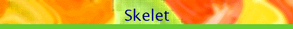Skelet