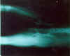 veterinary.jpg (12645 bytes)