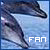 Dolphins