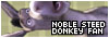 Donkey