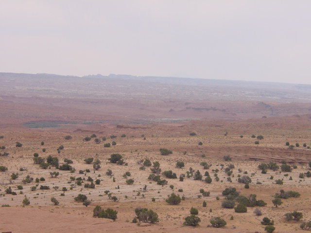 What a vast desert
