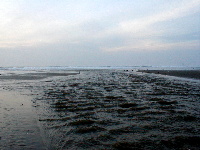 Inlet