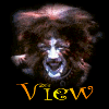 View My Guestbook!