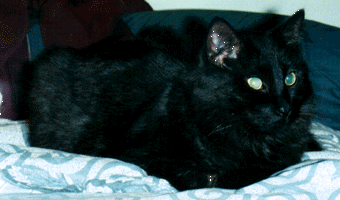 Merlin