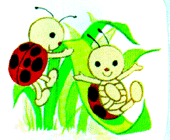 Lady Bug Fun