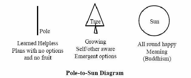 Pole to Sun