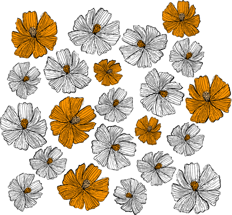 cosmo flowers