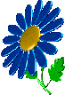 Animated Sunflower