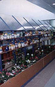 Vivero