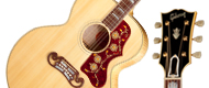 http://images.gibson.com.s3.amazonaws.com/Products/Acoustic-Guitars/New-Vintage/New-Vintage-J-200/Gallery-Images/SJ2TPANGH1-Product-Navigation-Thumbnail.jpg