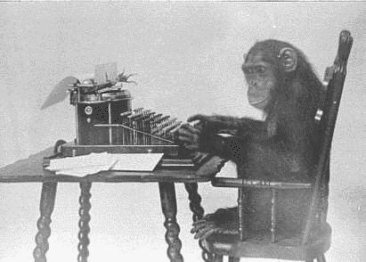 Monkey are just plain Funny!