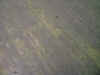 SHADOWS30.jpg (31151 bytes)