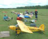TB big birds.JPG (34220 bytes)