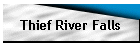 Thief River Falls