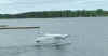 beaverinktaxi3.JPG (10605 bytes)