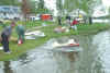 beaverraytaxi1.JPG (37862 bytes)