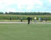 corn 1.JPG (24443 bytes)