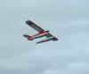 cubgcflying.JPG (5990 bytes)