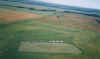 field 99 2.jpg (42148 bytes)