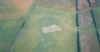field 99.jpg (33416 bytes)