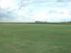 look e.JPG (27968 bytes)