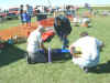 pt19 hard landing.JPG (63931 bytes)