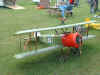 pupfront.JPG (58686 bytes)