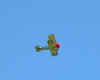 pupinflight2.JPG (21051 bytes)