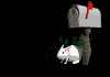 Bunny Mail