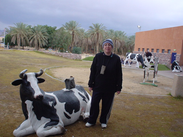 Yotvata visitor center