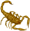 Durango