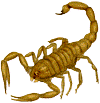 Durango
