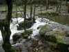 Ver fotografia