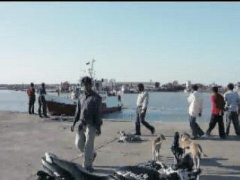 
      Scenic Videos -2003-     
