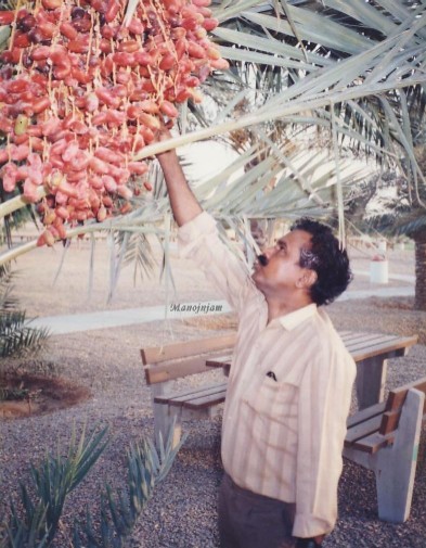  In Saudi Arabia 