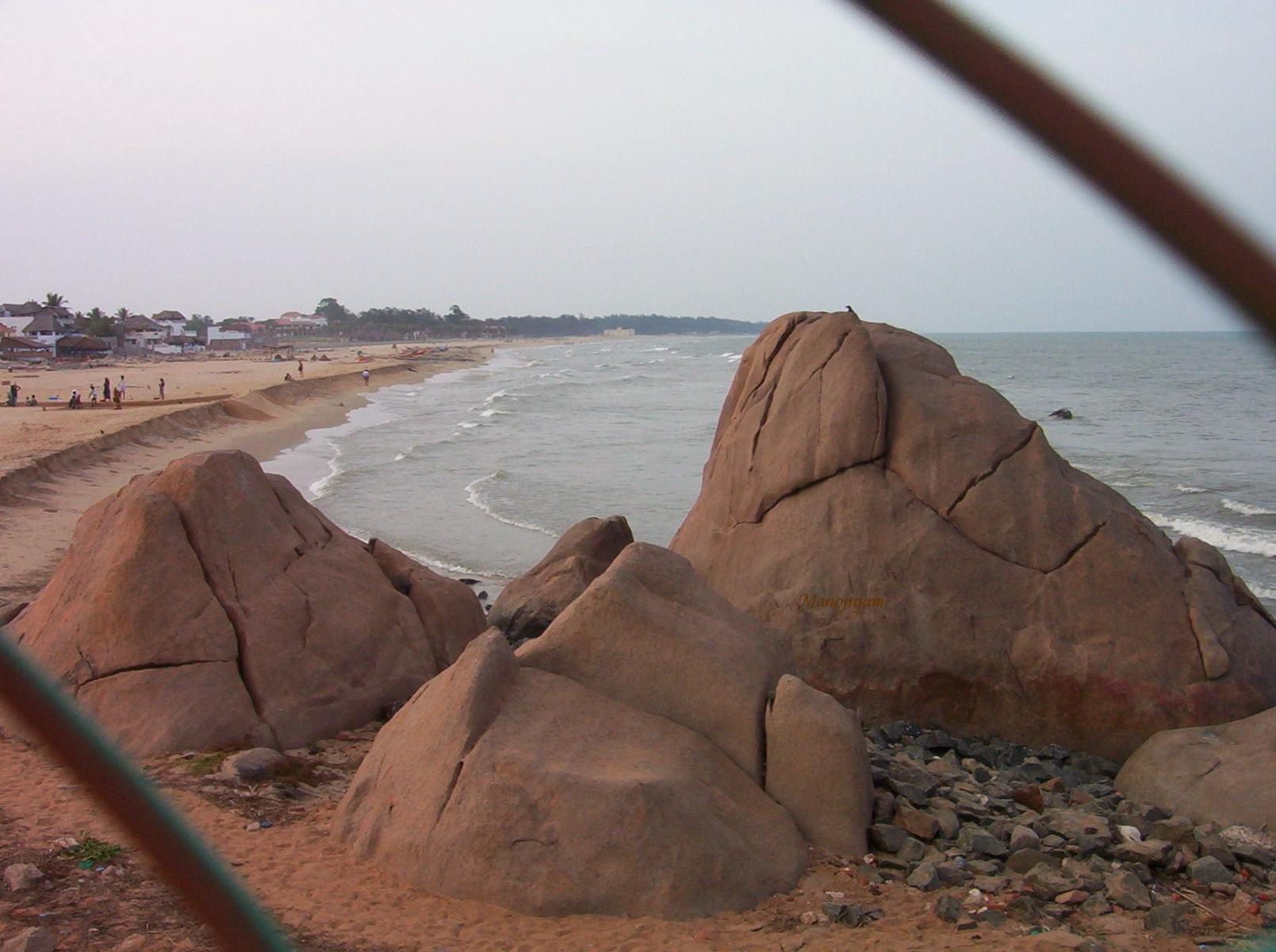  A view of the coastline from the site. 