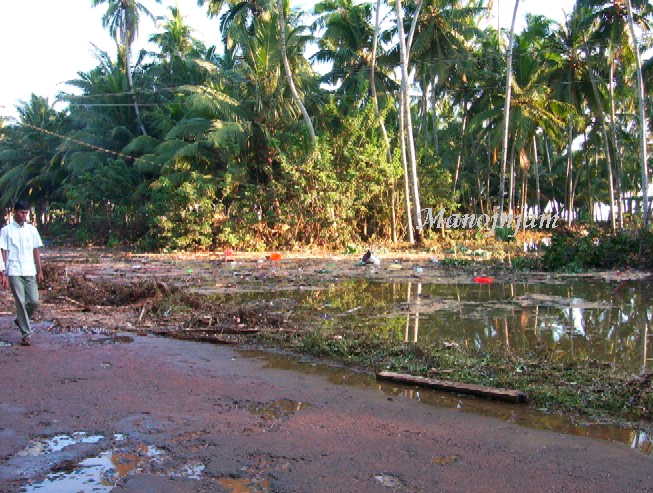 Tsunami video kanyakumari